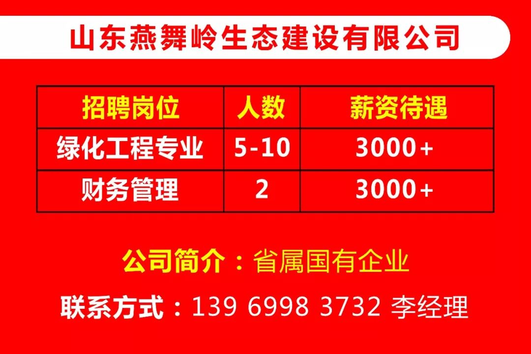 临淄信息港最新招聘动态及其影响力概览