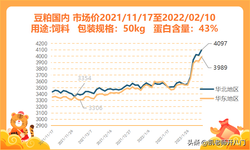 豆粕价格最新动态分析报告