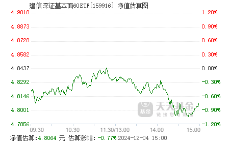 基金最新净值详解，理解、应用与投资策略指南