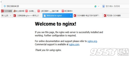 Nginx最新版本特性与技术优势探索