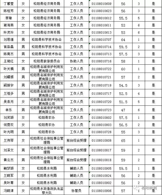 松阳县交通运输局最新招聘信息全面解析