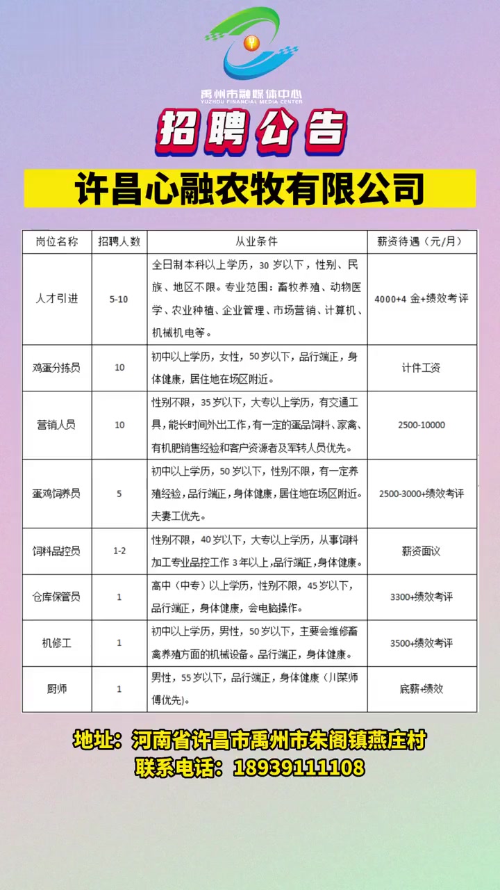 许昌招聘网最新招聘动态深度解析与解读