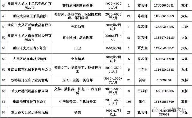 大足在线招聘最新动态深度解析