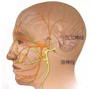 面肌痉挛最新最佳治疗方法探讨