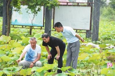 武义县自然资源和规划局新项目推动区域协同发展与生态保护并进