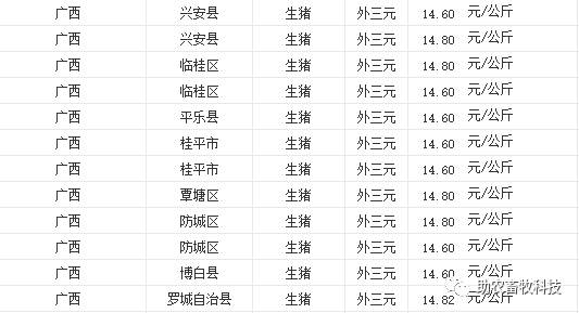 广西生猪价格最新行情与市场走势深度解析