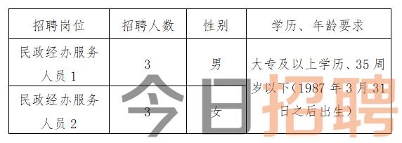 马关县人力资源和社会保障局最新招聘启事