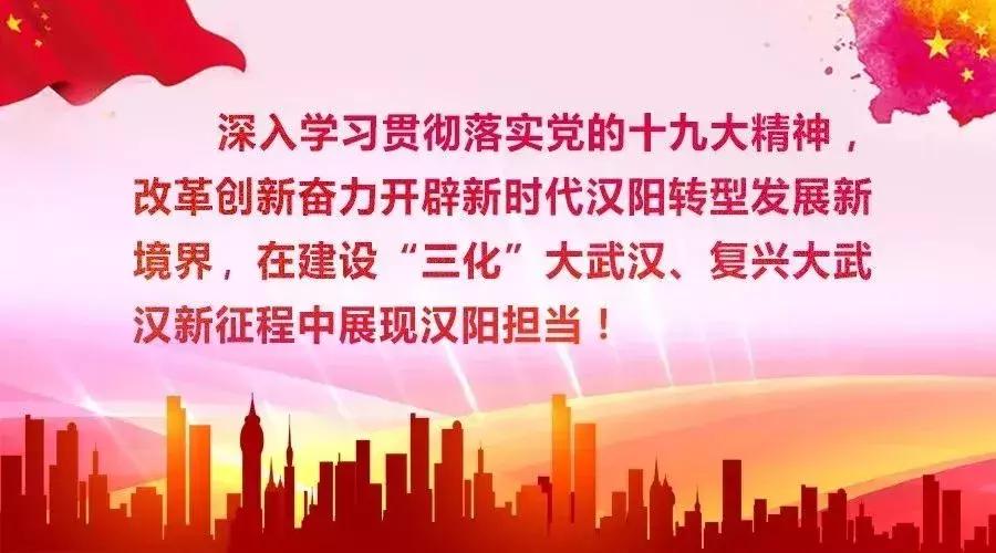 汉阳区交通运输局最新动态深度解析