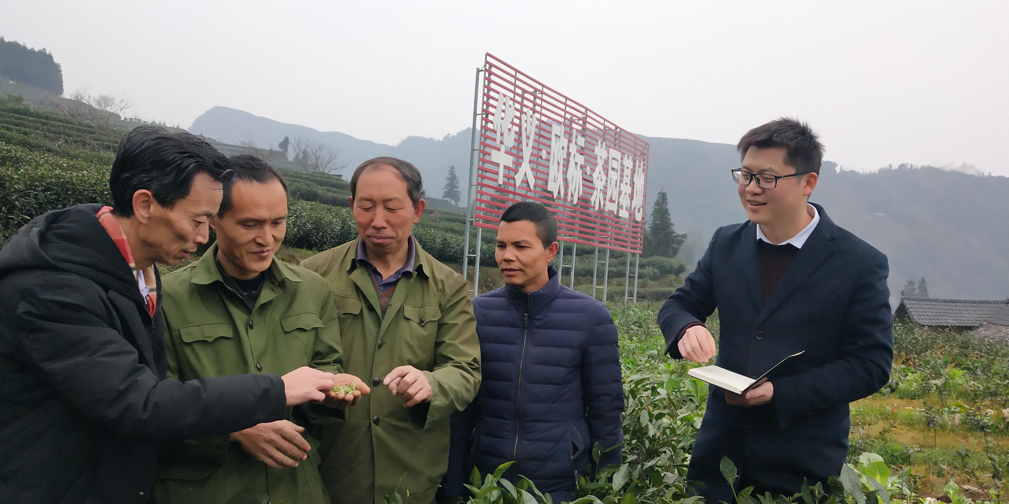 夹江县住房和城乡建设局领导团队全新亮相，未来展望与展望