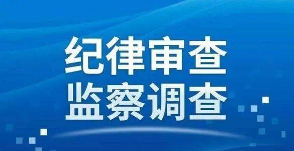 邵阳县科学技术和工业信息化局招聘启事概览