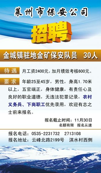 莱州最新招聘动态及其社会影响概览