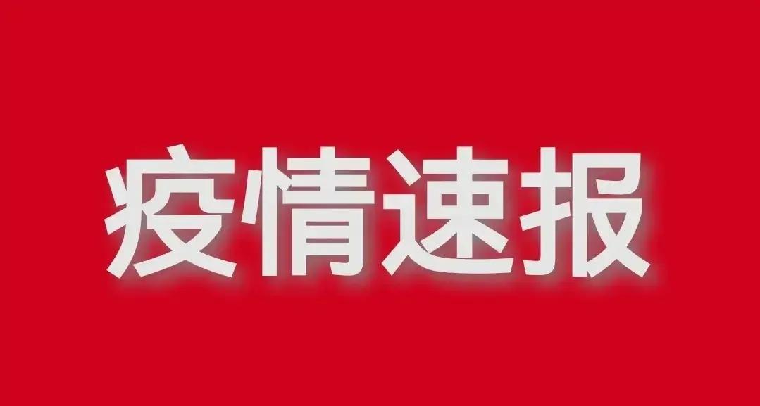 澳门最新动态，城市发展与时代脉搏同步同步前行